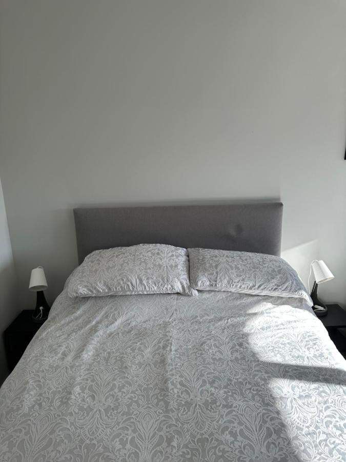 Appartement Pineridge Snug à Wexford Extérieur photo